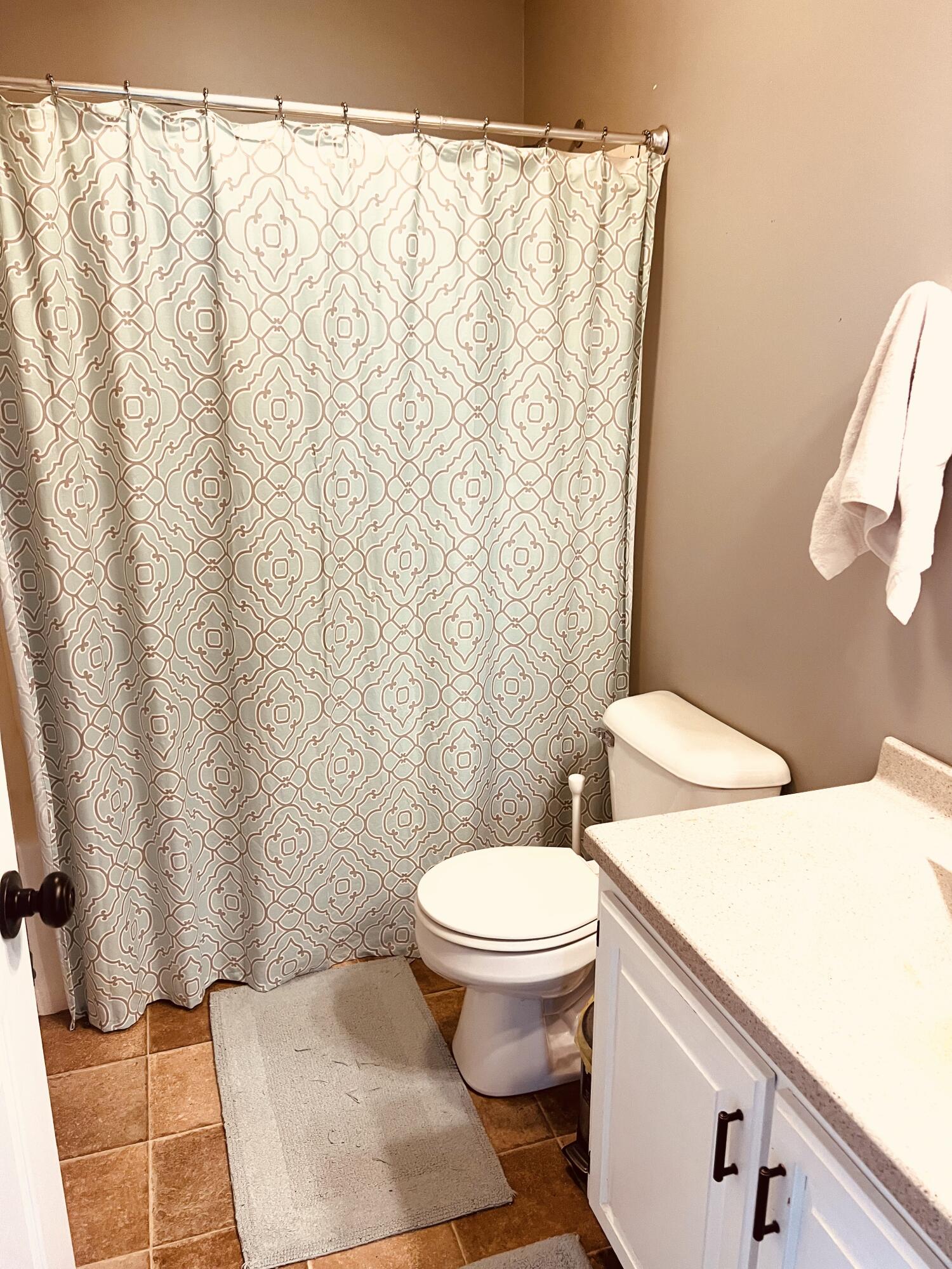 265 West Pearl Road Coldwater, MI 49036 - Photo 18 of 43 IMG_6250