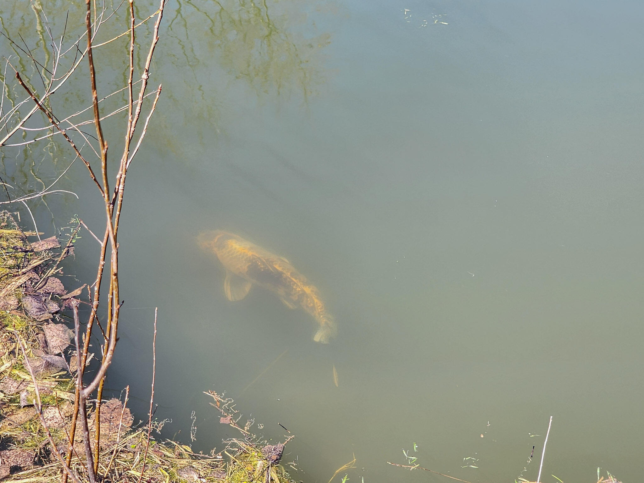 265 West Pearl Road Coldwater, MI 49036 - Photo 36 of 43 12-20260411_130518