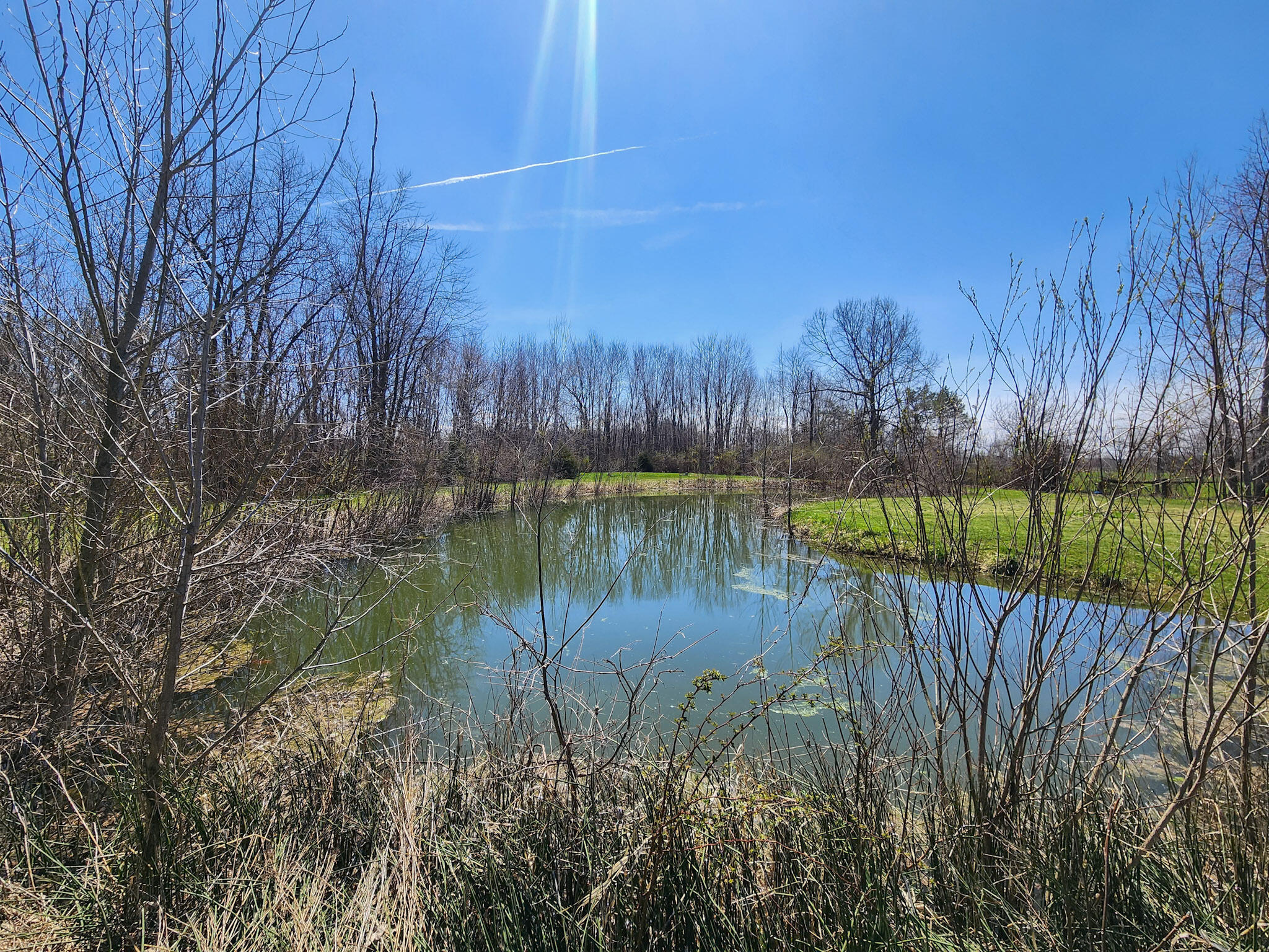 265 West Pearl Road Coldwater, MI 49036 - Photo 37 of 43 11-20260411_130058