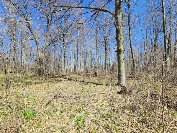 $399,000 | 265 West Pearl Road, Coldwater, MI 49036