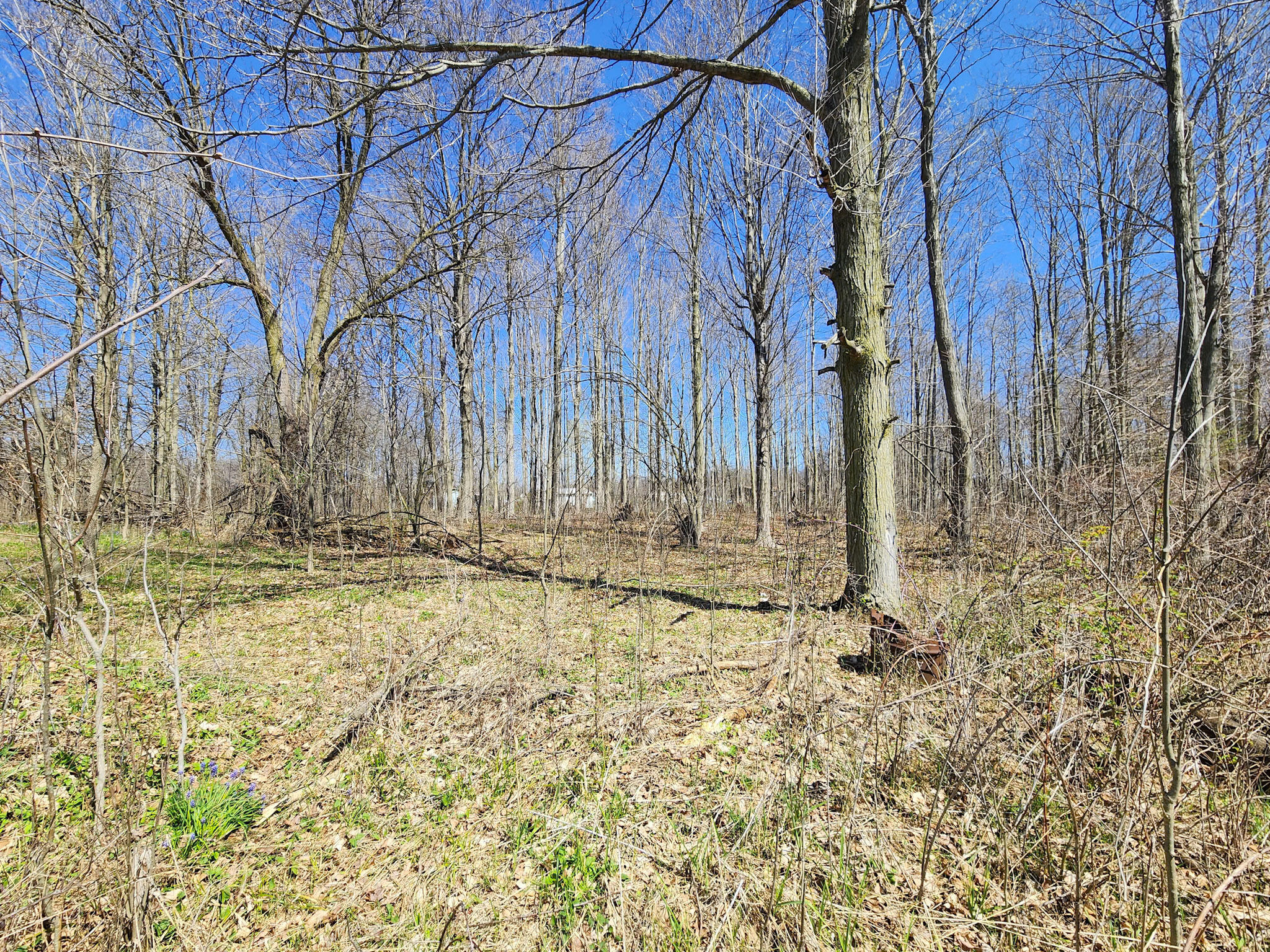 265 West Pearl Road Coldwater, MI 49036 - Photo 39 of 43 9-20260411_130720