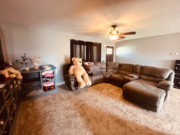 $399,000 | 265 West Pearl Road, Coldwater, MI 49036