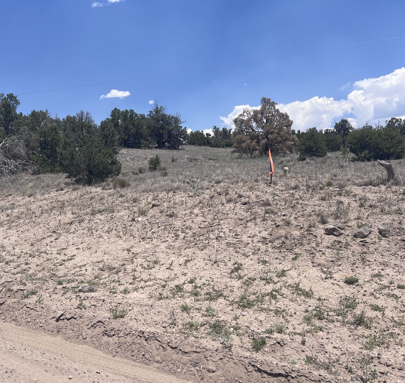 0 Omega Road, Unit 24 Quemado, NM 87829 - Photo 6 of 23 Gallery Image 6