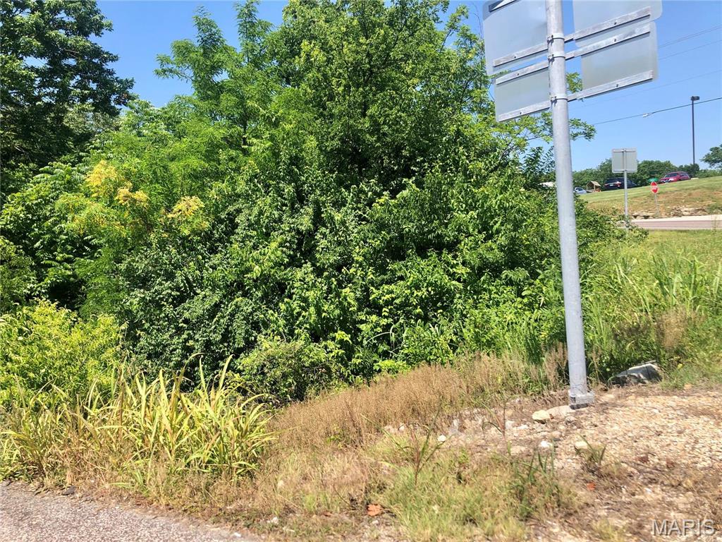 6250 Upper Byrnes Mill Road Byrnes Mill, MO 63051 - Photo 14 of 17