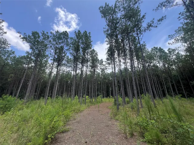 a view of outdoor space and yard
