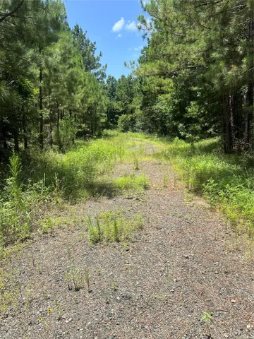 a view of a lush green space