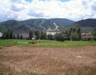 51 Longhorn Road Edwards, CO 81632 - Photo 1 of 1 Primary Photo