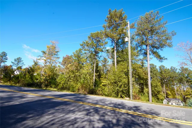a view of a yard with flower plants