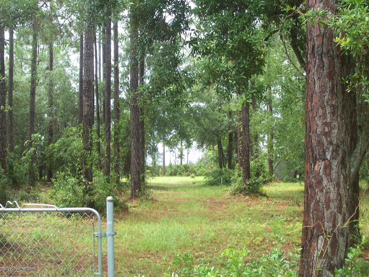 Lot20 Claxton Road Yulee, FL 32097 - Photo 2 of 18 Lot view