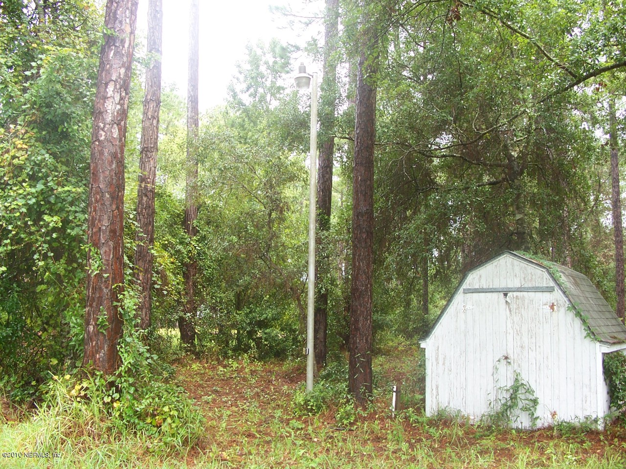 Lot20 Claxton Road Yulee, FL 32097 - Photo 7 of 18 lot view