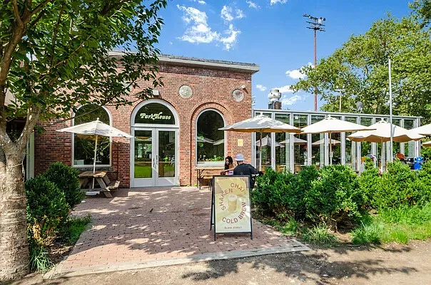 a view of a yard with plants and trees