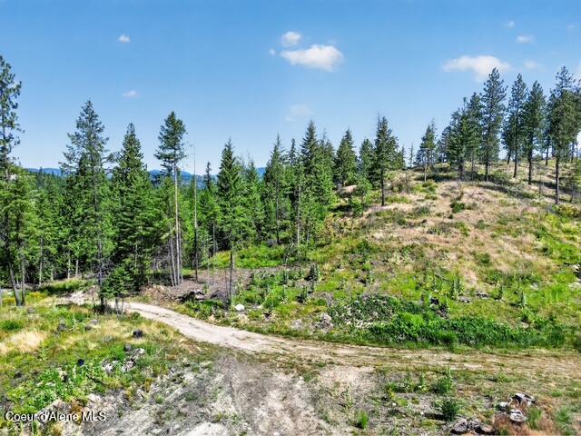 197 Schneiders Road Sagle, ID 83860 - Photo 8 of 34 11579