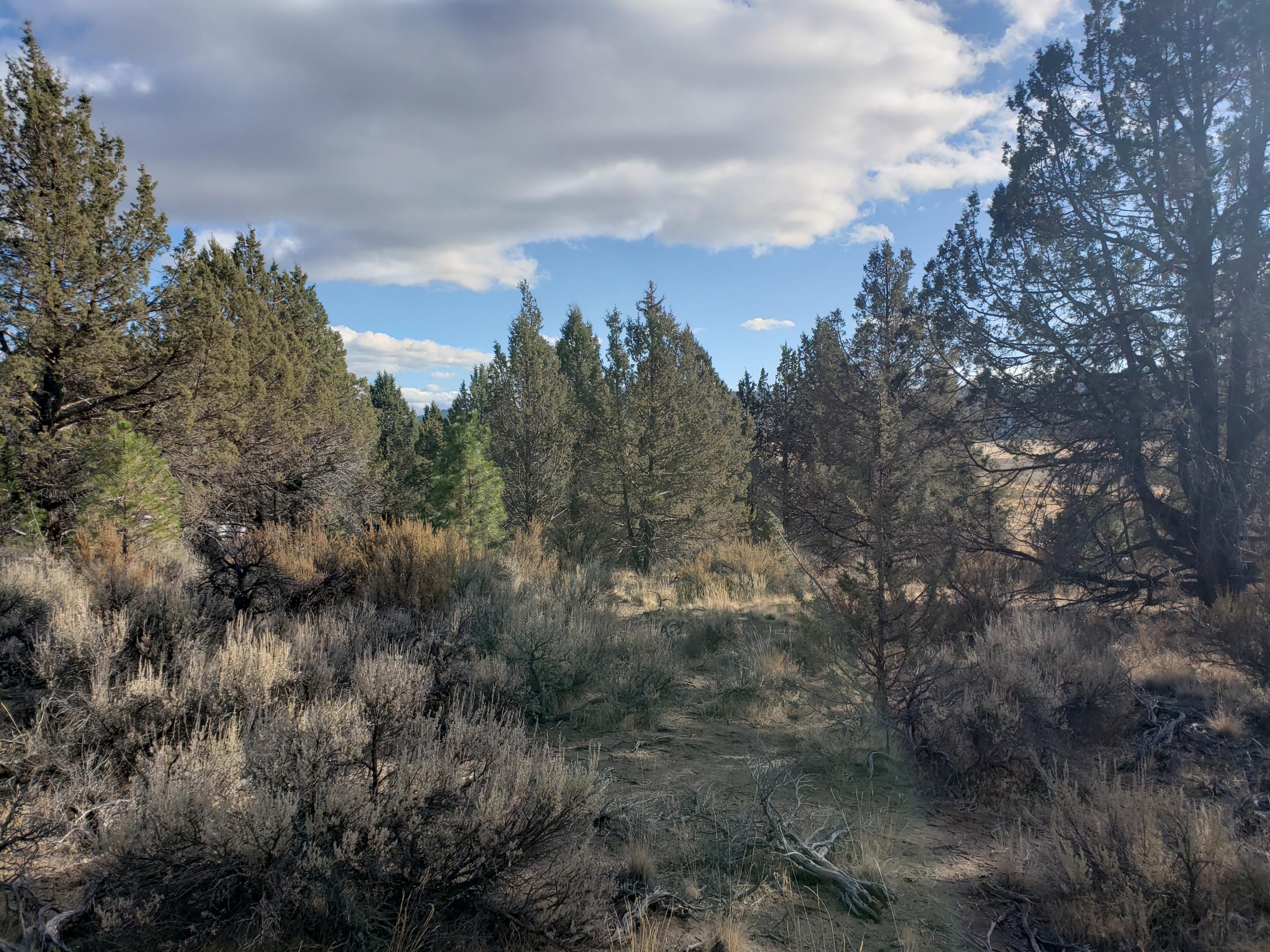 37 Drews Ranch Road Chiloquin, OR 97624 - Photo 6 of 16 20201110_133651