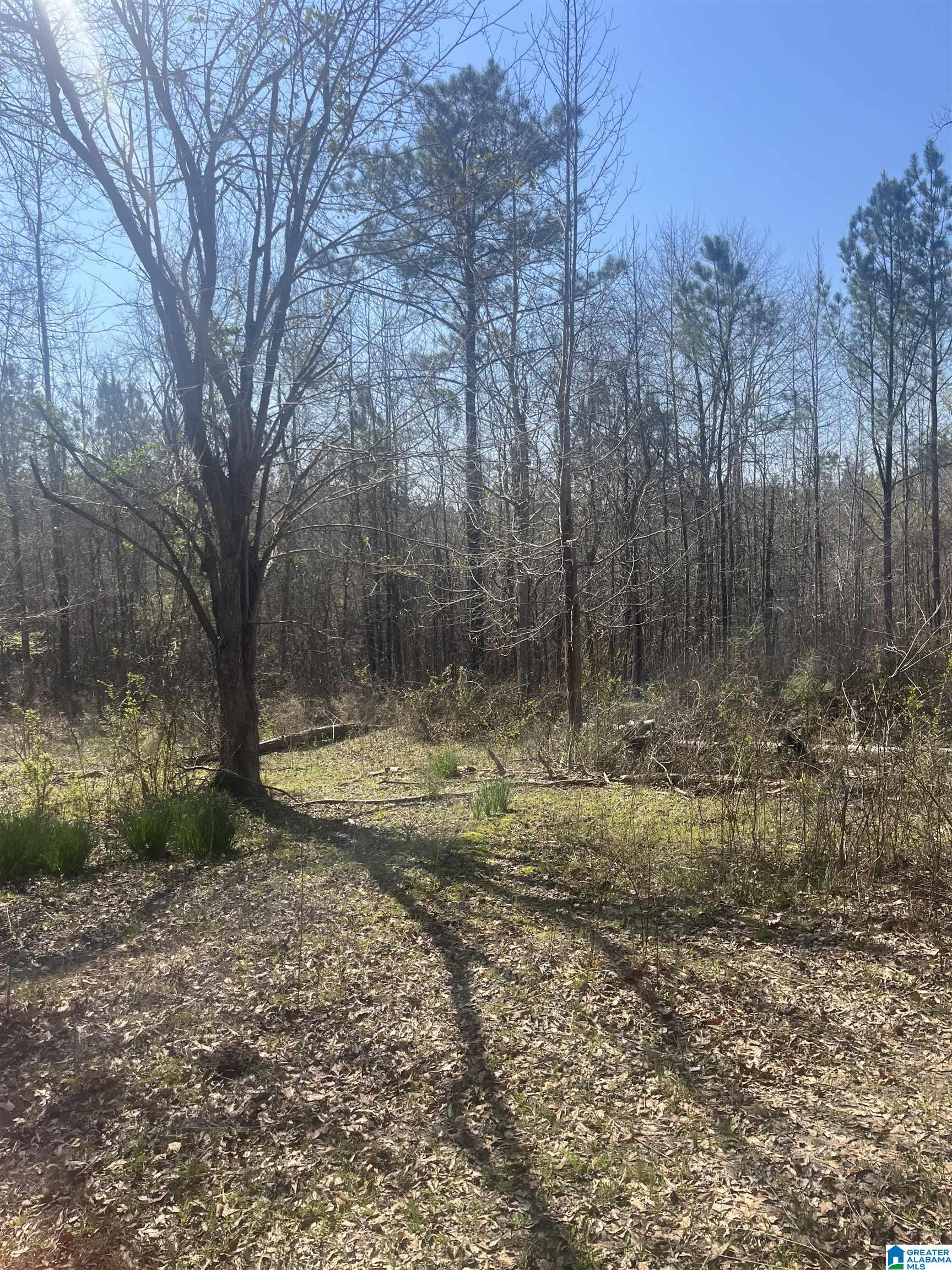 0 Crystal Lake Road West Blocton, AL 35184 - Photo 5 of 16