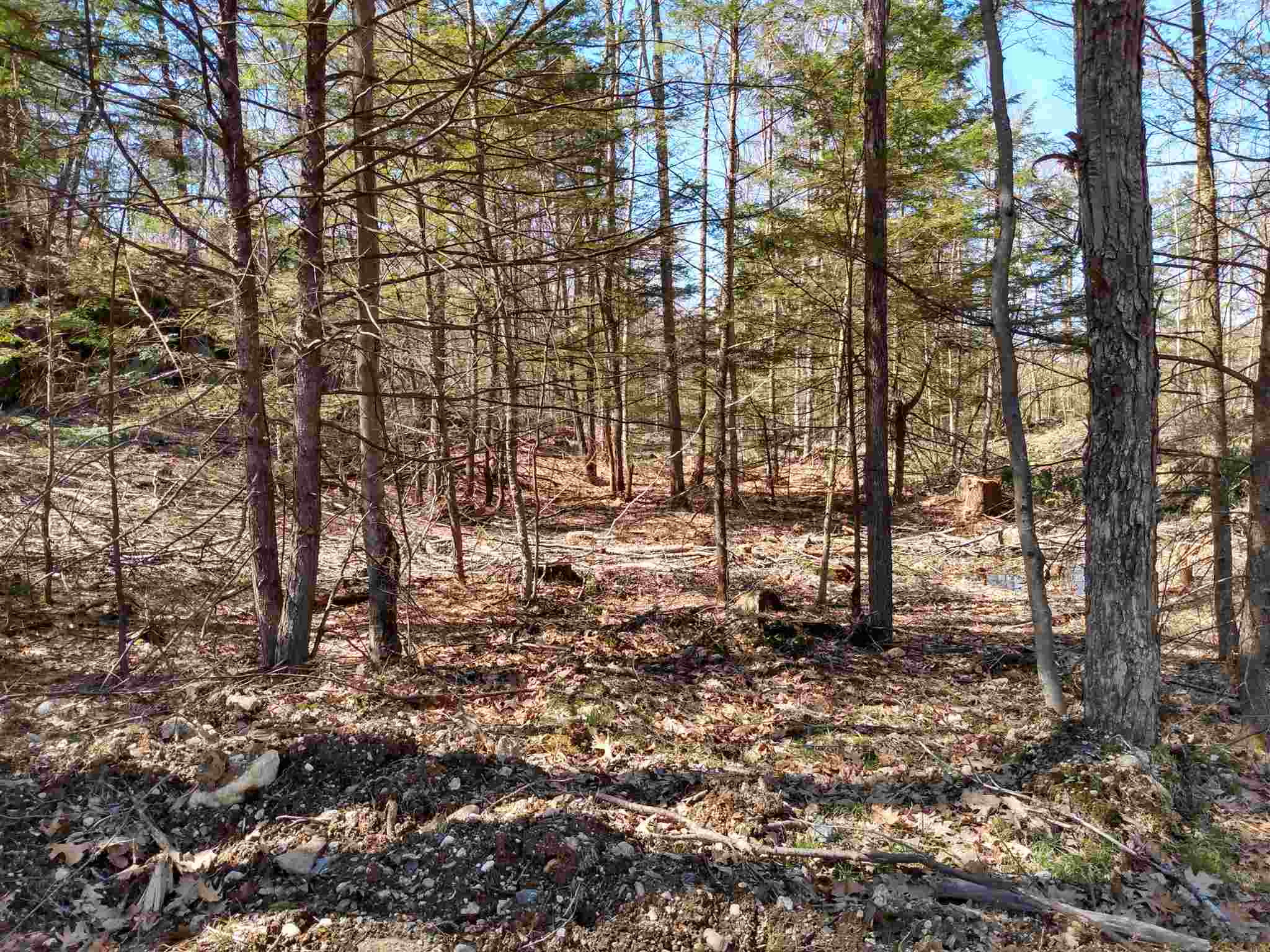 Lot 10 Private Road Spofford, NH 03462 - Photo 1 of 3 Gallery Image 1
