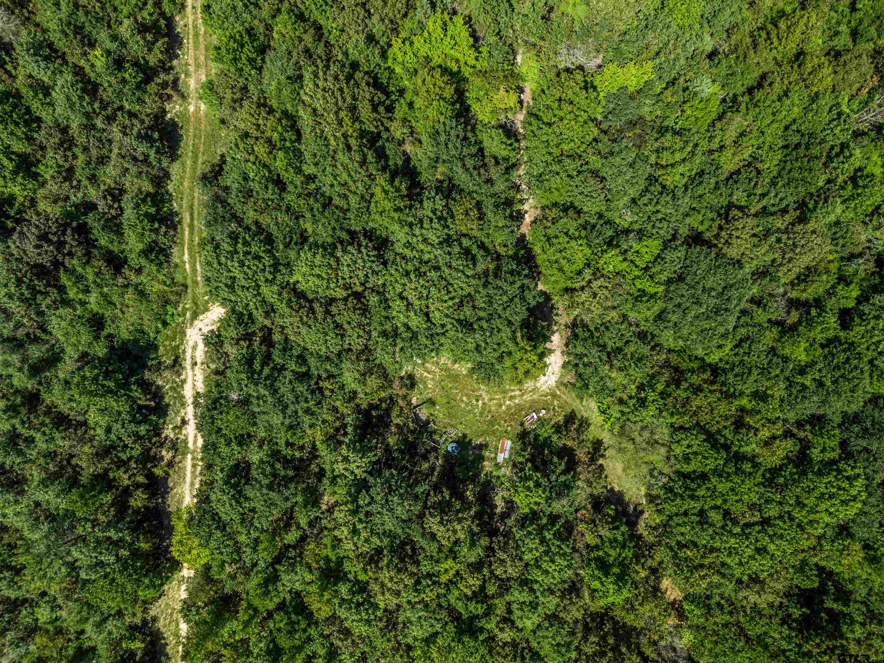 12417 Farm To Market Road 2767 Tyler, TX 75708 - Photo 11 of 16 a view of a lush green forest