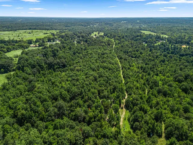 a view of a city with lush green forest
