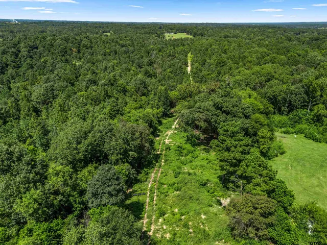 a view of a green field with lots of trees
