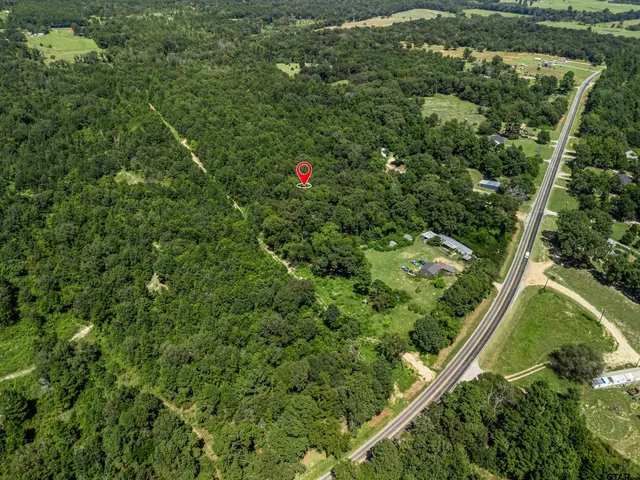 an aerial view of residential houses with outdoor space and trees