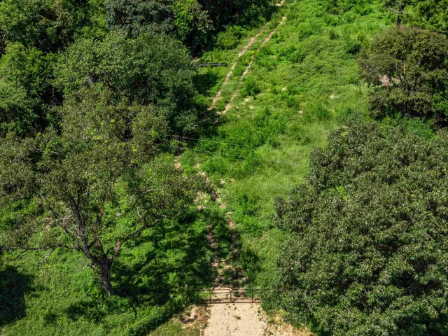 an aerial view of a house with a tree