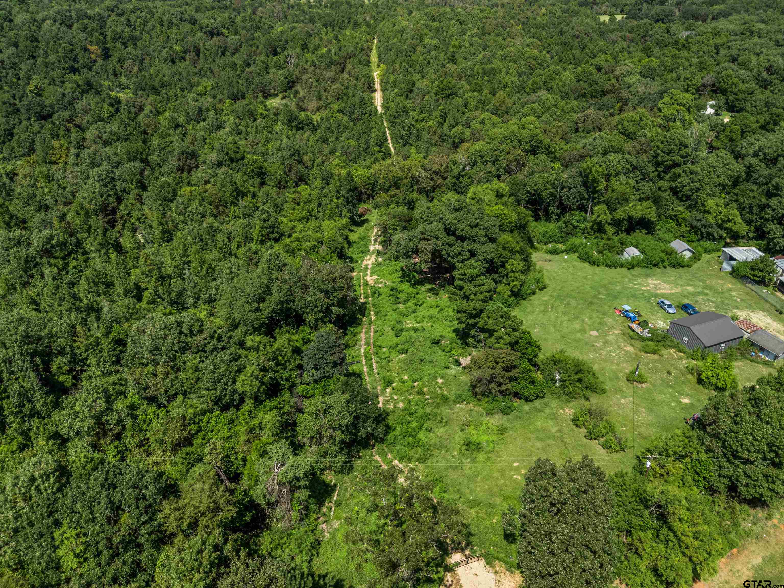 12417 Farm To Market Road 2767 Tyler, TX 75708 - Photo 8 of 16 a view of a lush green forest