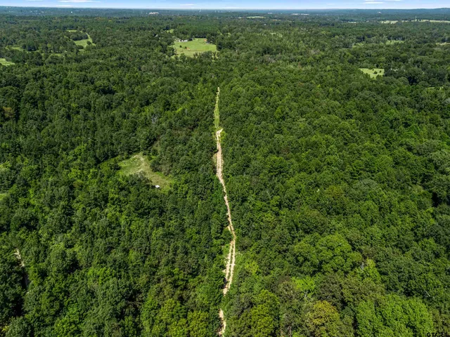 an aerial view of residential houses with outdoor space and trees