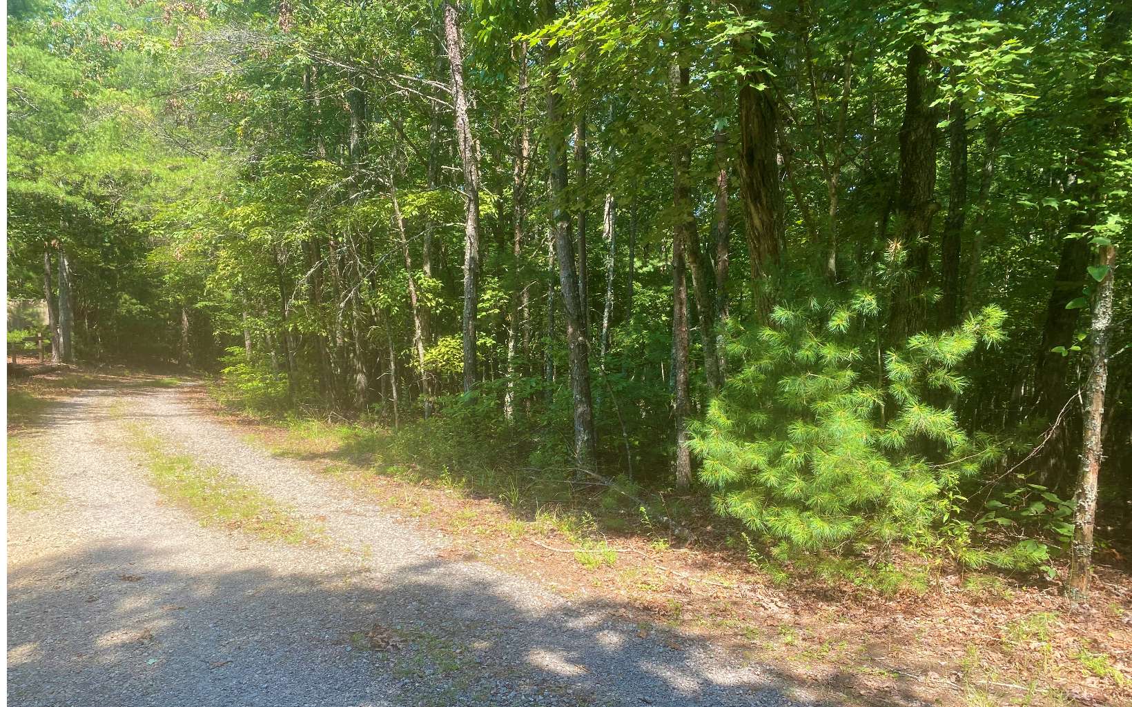 Wagon Wheel Road Morganton, GA 30560 - Photo 2 of 3 Additional View