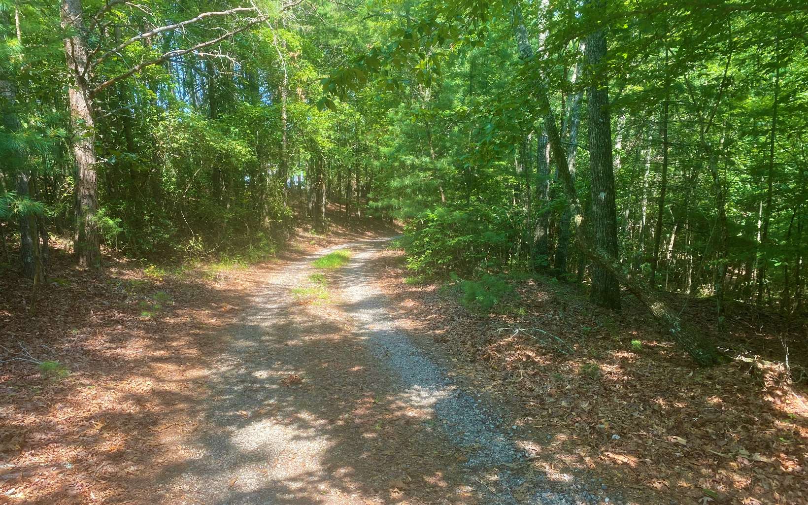 Wagon Wheel Road Morganton, GA 30560 - Photo 3 of 3 Additional View