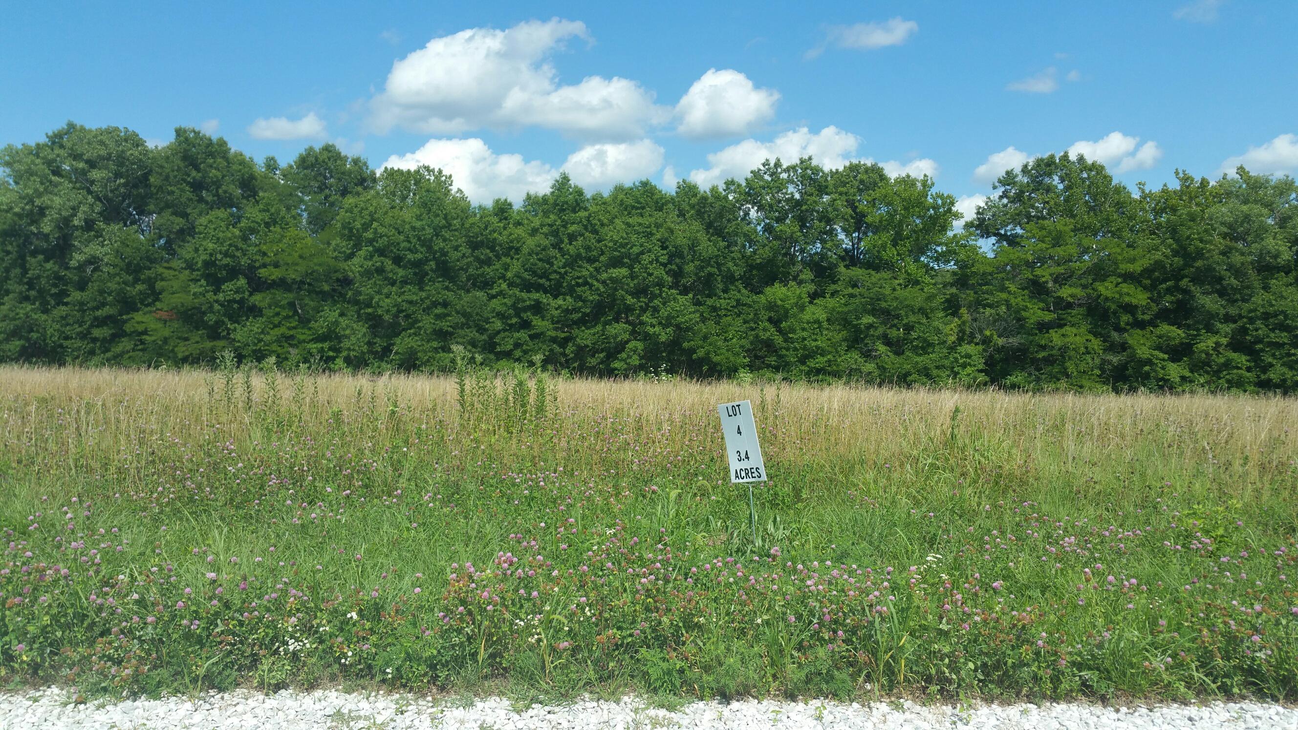 Lot#4 Co Road Stoutsville, MO 65283 - Photo 1 of 1 Gallery Image 1