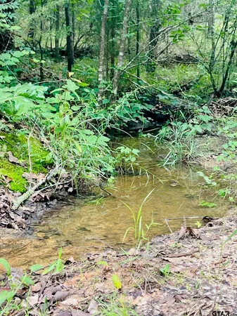 a view of a yard with an trees