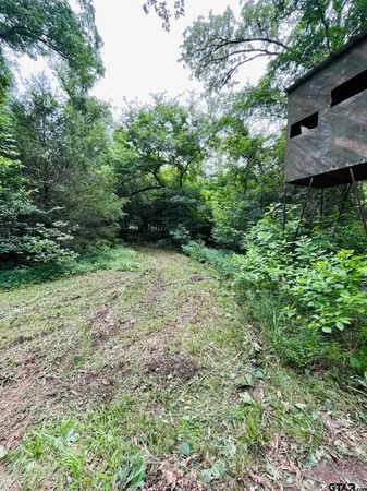 a view of backyard with green space