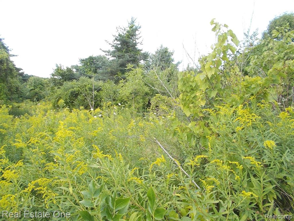 0 North Lake George Road Oakland, MI 48363 - Photo 47 of 55