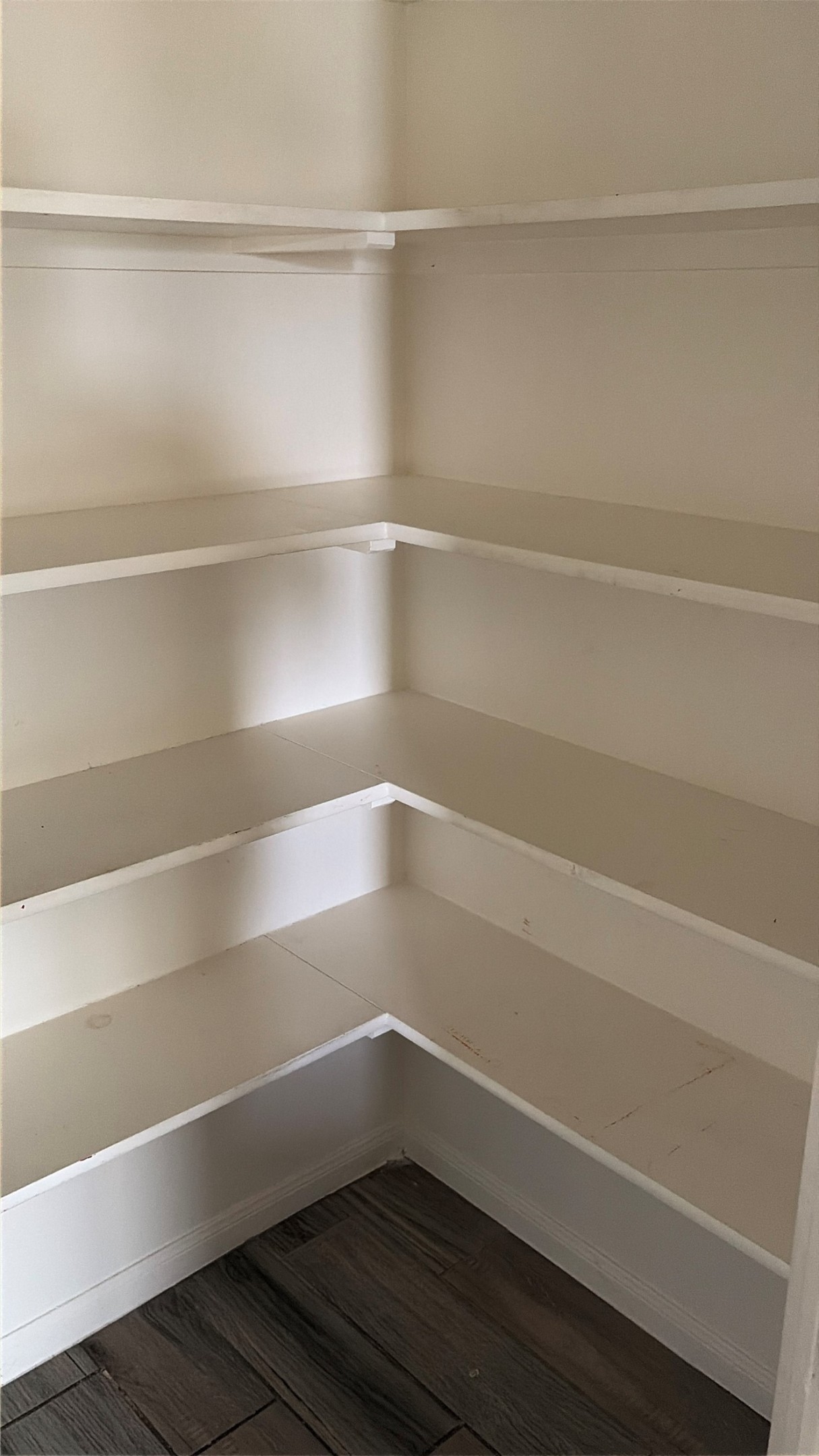 137 Rafe Court Kyle, TX 78640 - Photo 19 of 36 A corner pantry with ample shelving and durable wood-look flooring offers abundant storage solutions.