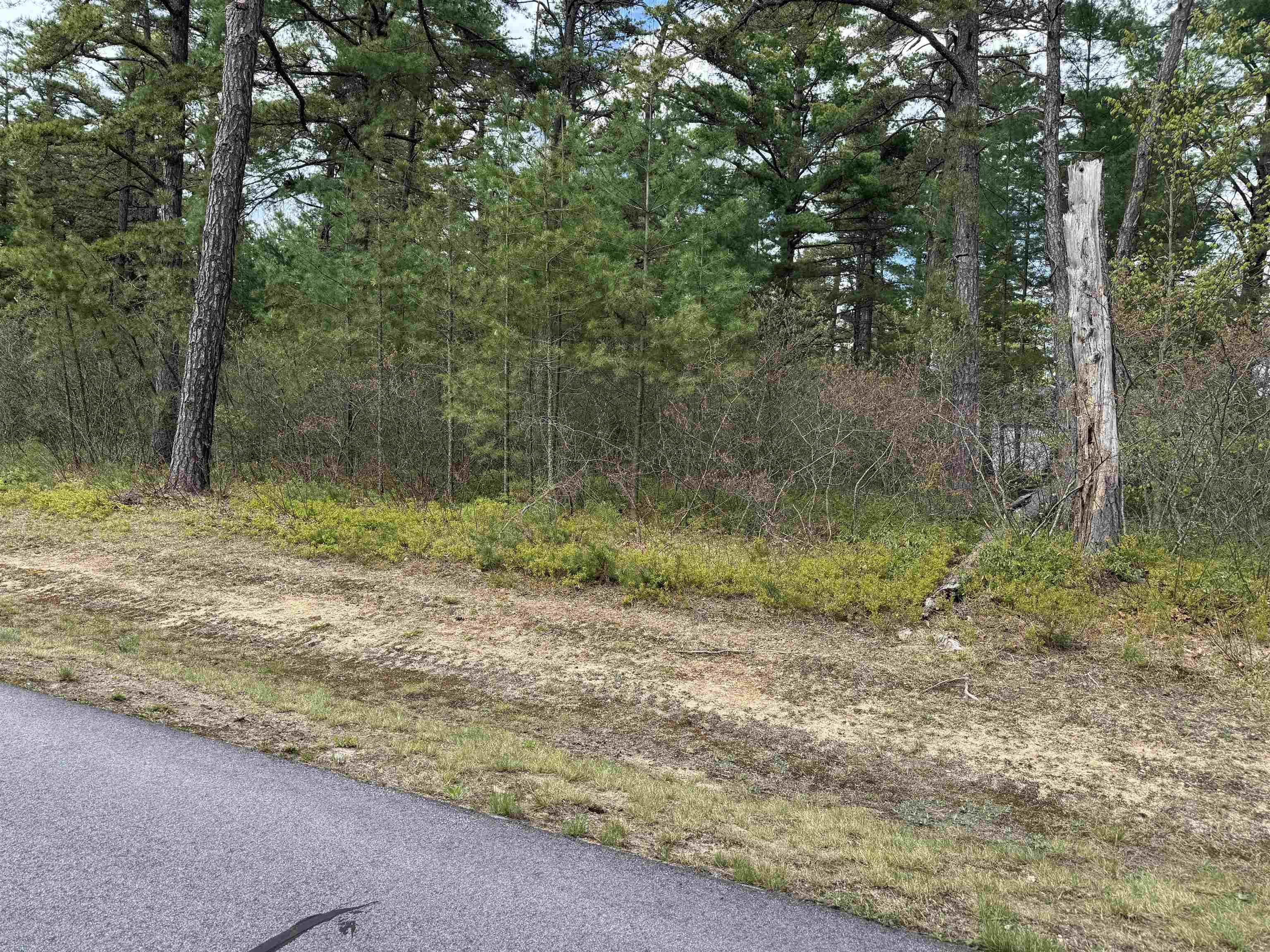 40 Logan Way Ossipee, NH 03890 - Photo 12 of 36