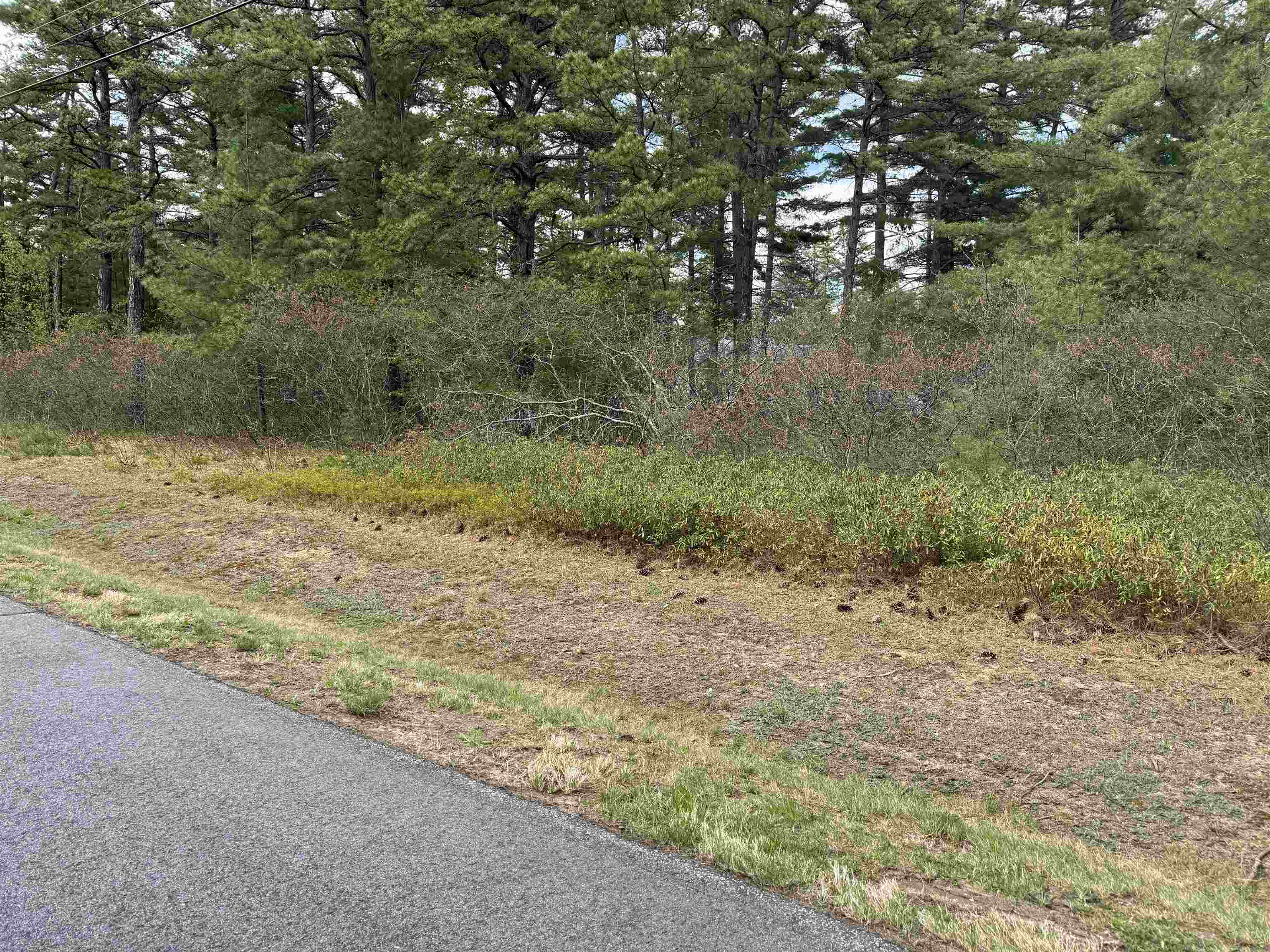 40 Logan Way Ossipee, NH 03890 - Photo 13 of 36