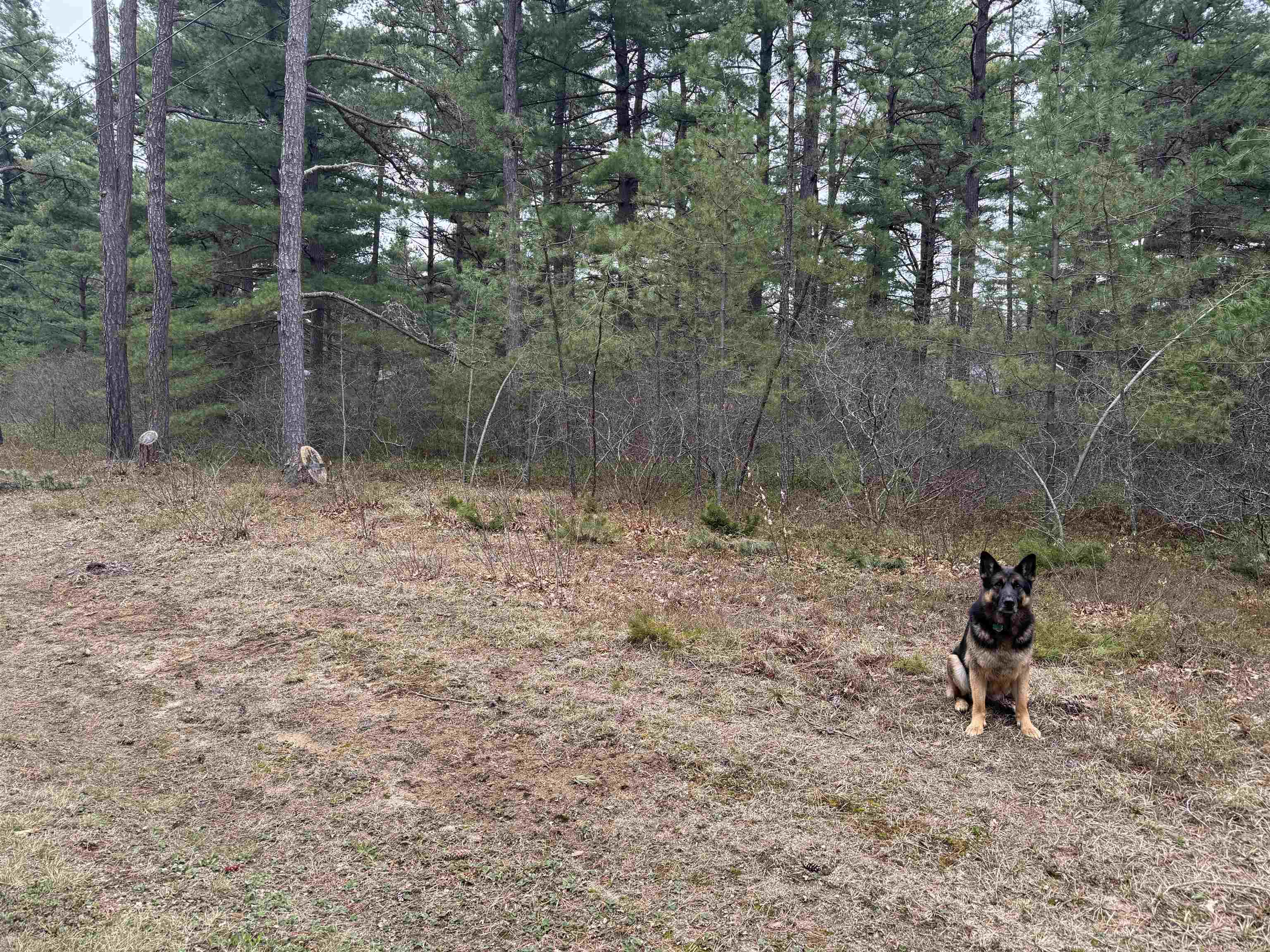 40 Logan Way Ossipee, NH 03890 - Photo 3 of 36