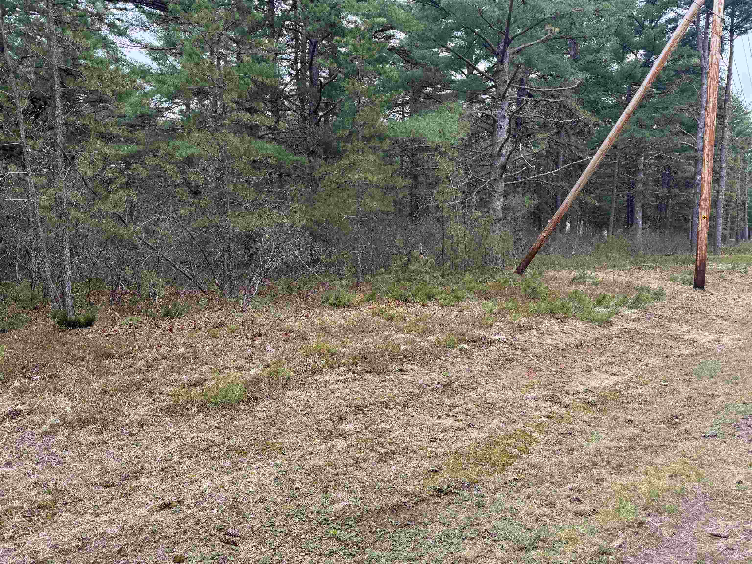 40 Logan Way Ossipee, NH 03890 - Photo 4 of 36