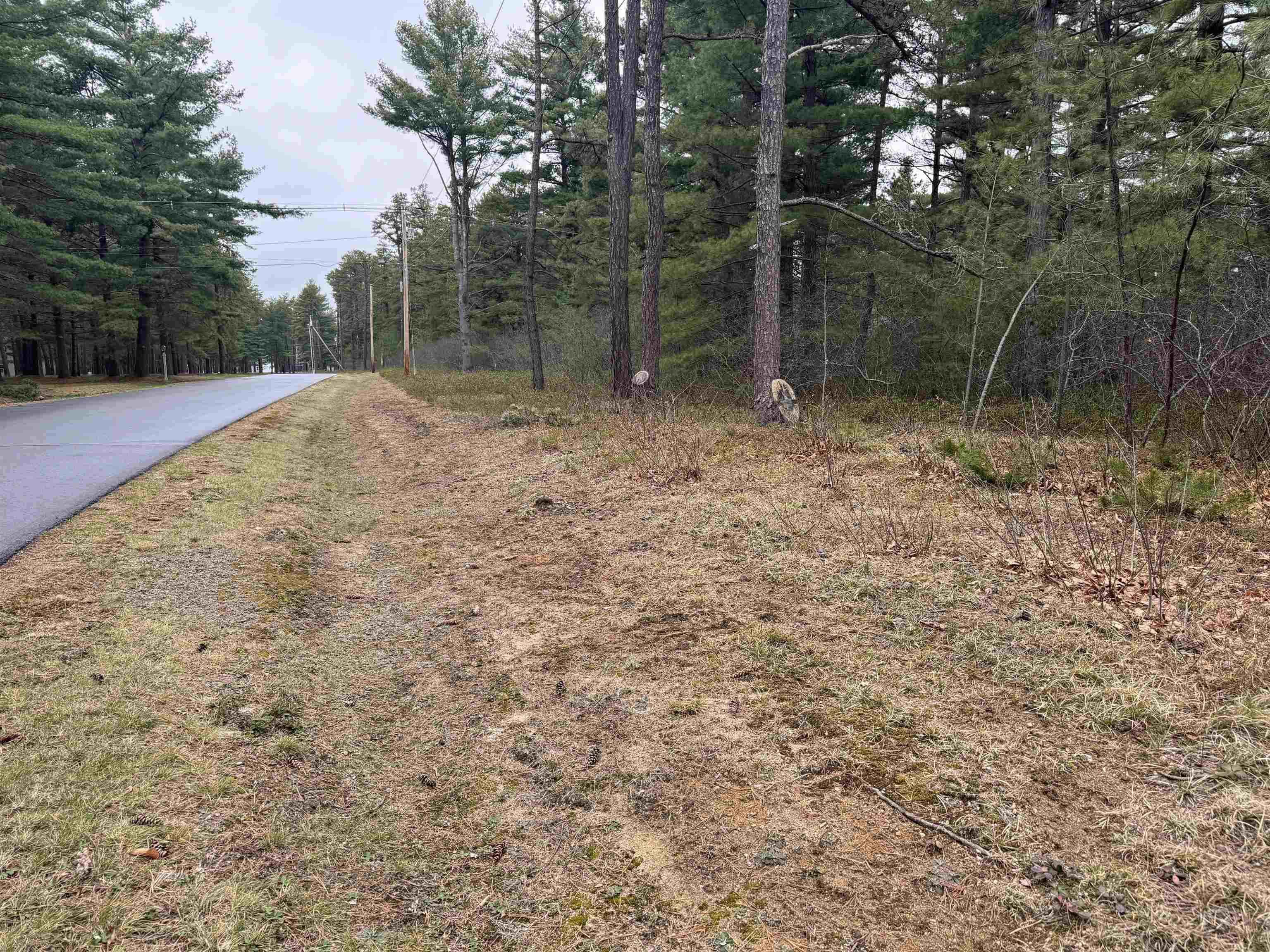 40 Logan Way Ossipee, NH 03890 - Photo 5 of 36