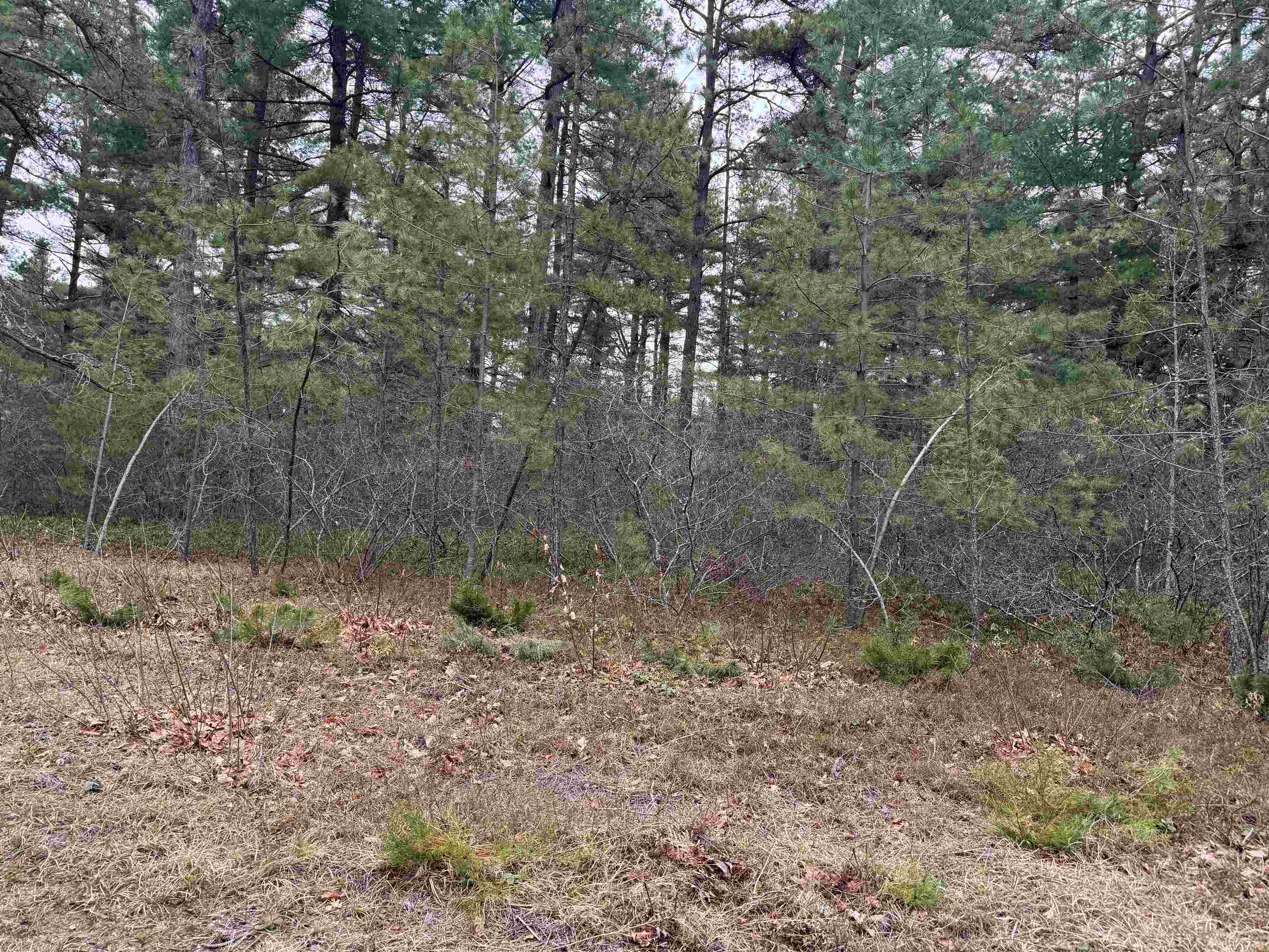 40 Logan Way Ossipee, NH 03890 - Photo 6 of 36