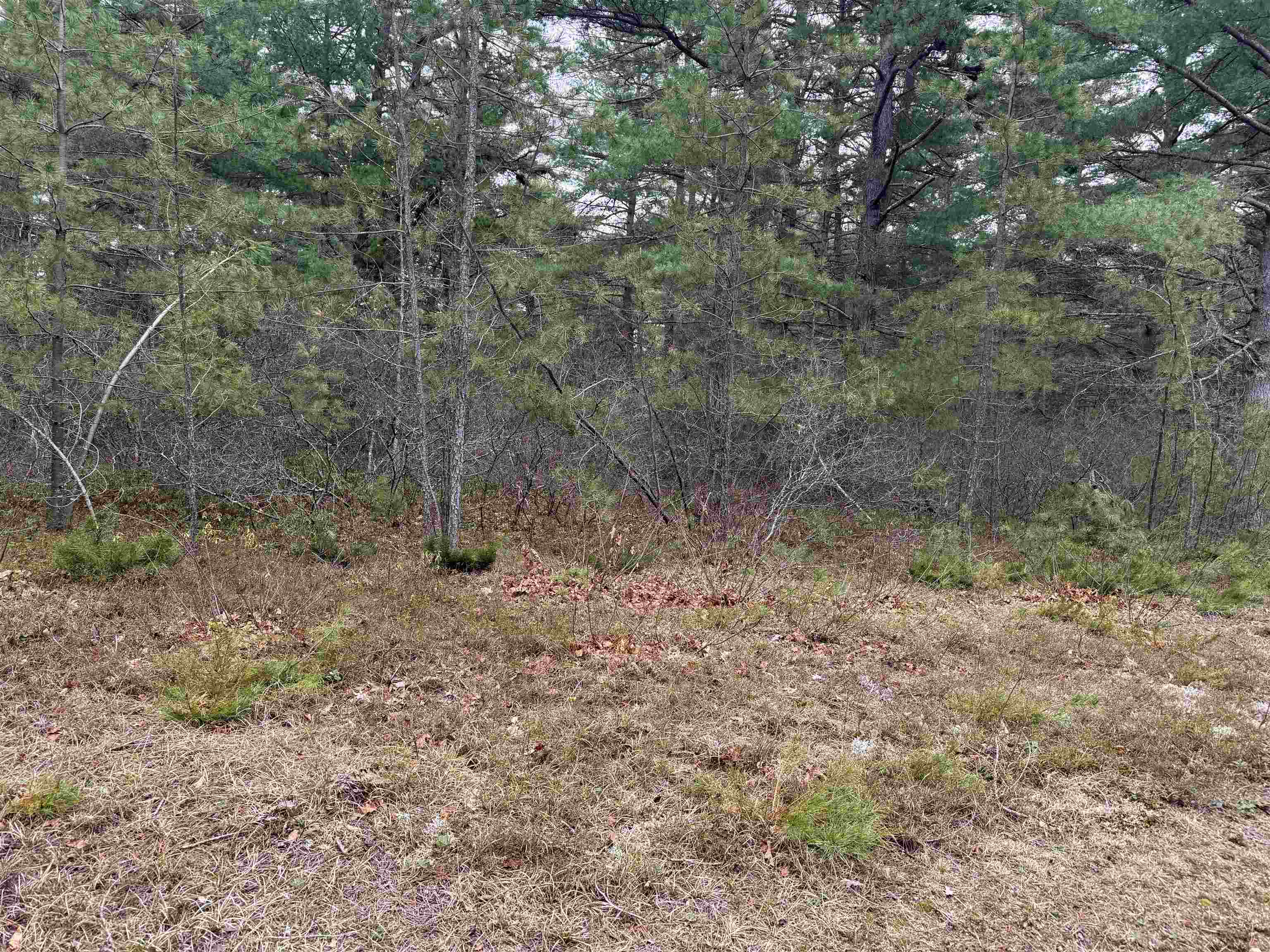 40 Logan Way Ossipee, NH 03890 - Photo 7 of 36