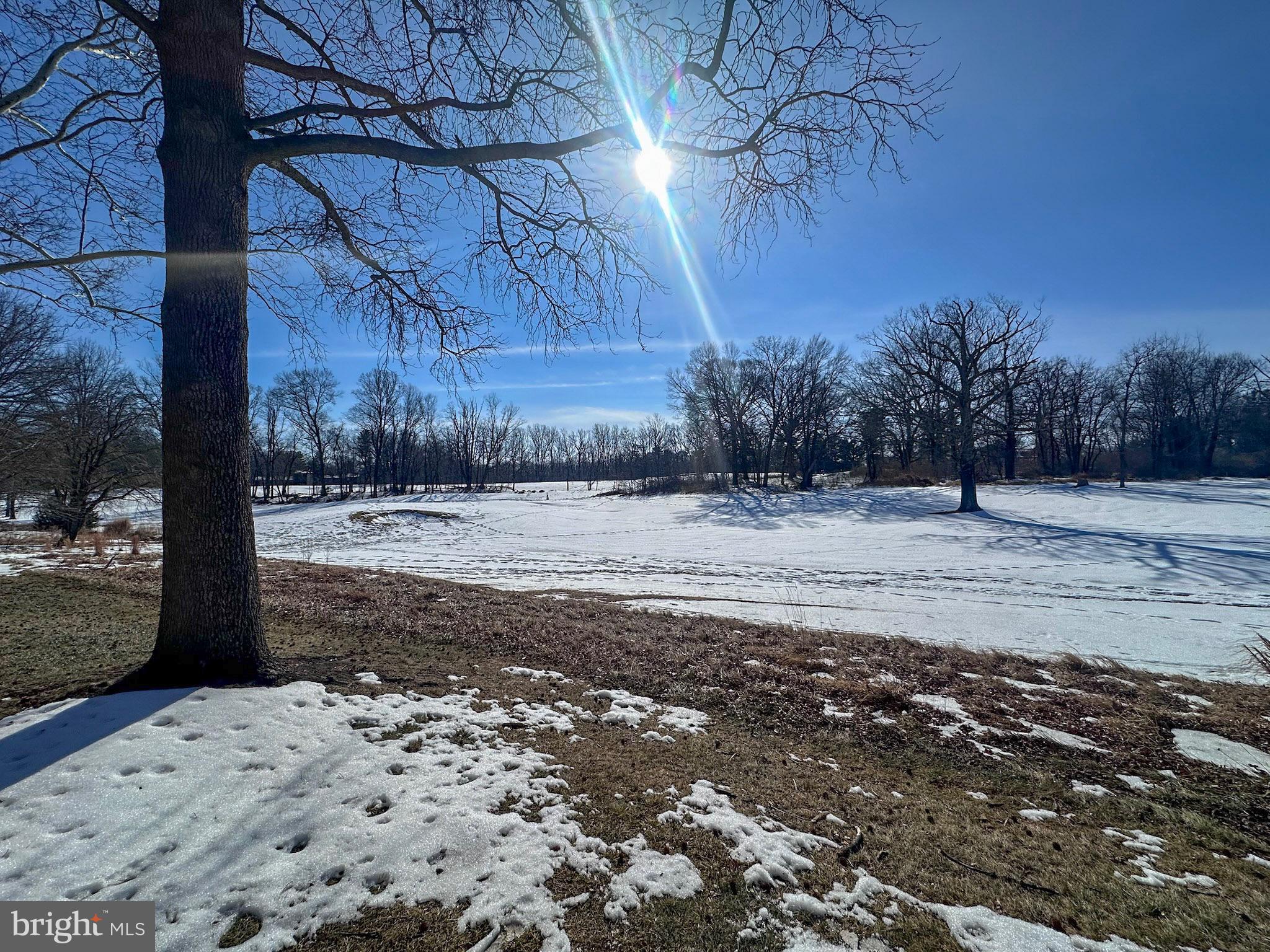 2158 Golf Course Drive Reston, VA 20191 - Photo 31 of 35 a view of yard covered with snow
