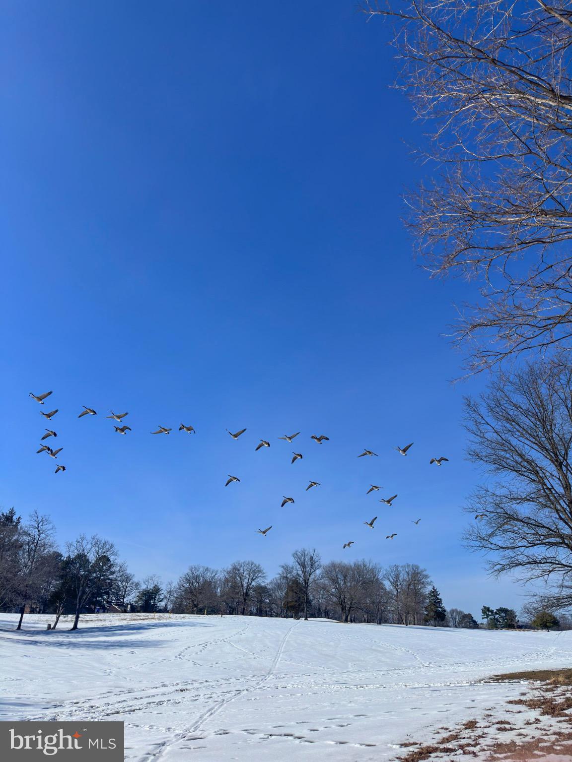 2158 Golf Course Drive Reston, VA 20191 - Photo 32 of 35 a view of a dry yard