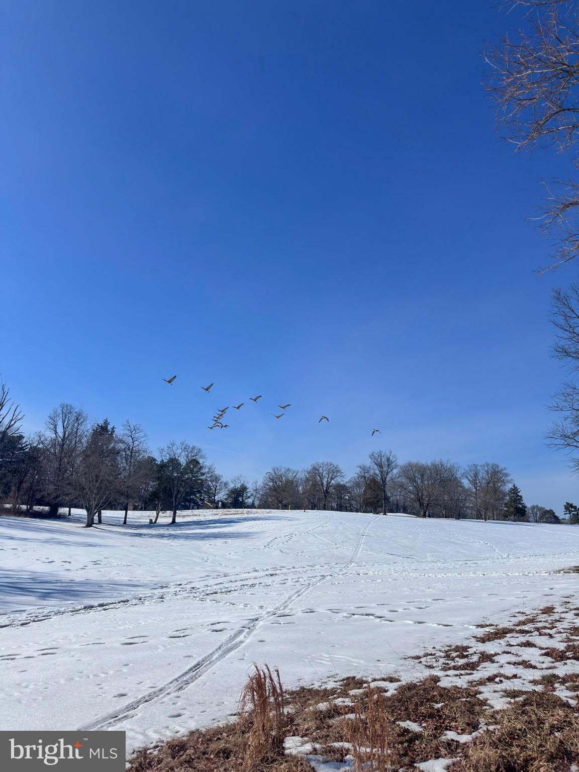 2158 Golf Course Drive Reston, VA 20191 - Photo 33 of 35 a view of ocean and beach