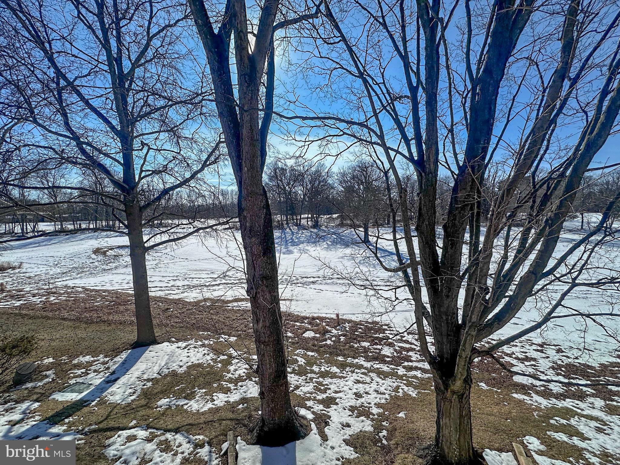 2158 Golf Course Drive Reston, VA 20191 - Photo 35 of 35 a view of a forest filled with trees