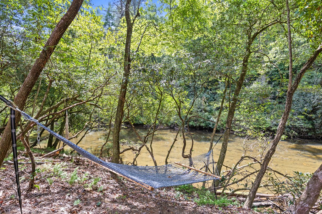 46 Rivers End Way Suches, GA 30572 - Photo 39 of 76 a view of a yard with a tree