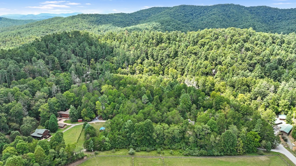 46 Rivers End Way Suches, GA 30572 - Photo 41 of 76 a view of a lush green forest with lots of trees