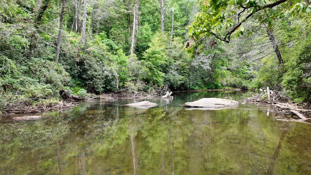 46 Rivers End Way Suches, GA 30572 - Photo 45 of 76