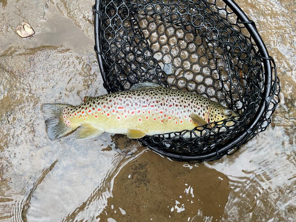 46 Rivers End Way Suches, GA 30572 - Photo 57 of 76 a view of a water heater