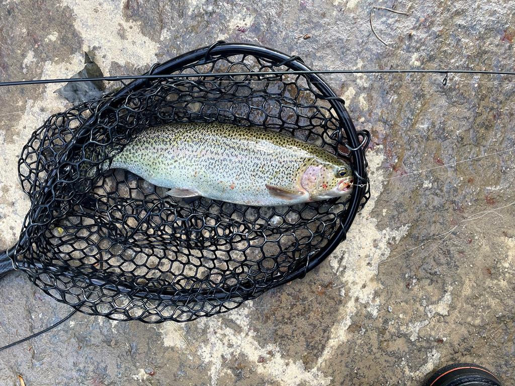 46 Rivers End Way Suches, GA 30572 - Photo 58 of 76