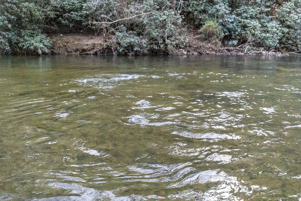 46 Rivers End Way Suches, GA 30572 - Photo 60 of 76 a view of a lake view